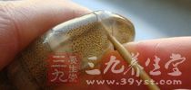 海鮮吃錯很傷身