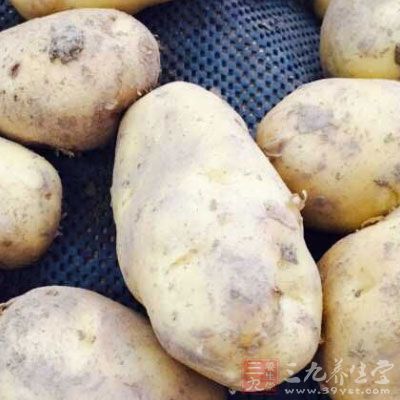 如有毒的河豚魚、貝類及毒蕈、木薯、四季豆、新鮮黃花菜與發芽的土豆等