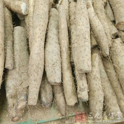 山藥含有皂甙、黏液質，具有潤滑，滋潤的功效