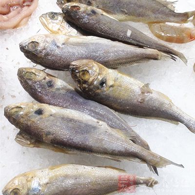 因而無論將魚膽烹熟、生吞，或是用酒送服，均可發生中毒
