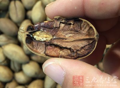 堅果類零食是春節必不可少的 堅果類零食是春節必不可少的
