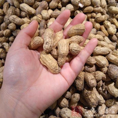 膽囊切除患者要是吃花生會造成消化問題