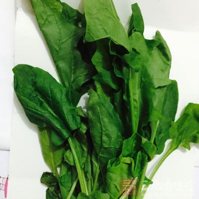 菠菜還屬於一種極易富集硝酸鹽的蔬菜