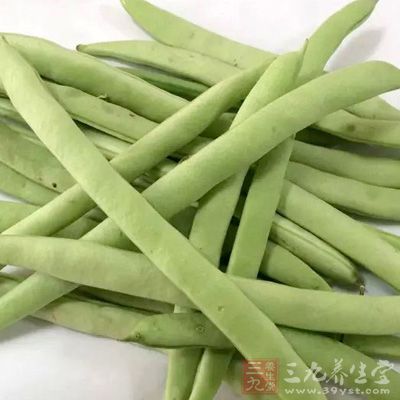 四季豆是一道沒煮熟就不能吃的菜 四季豆是一道沒煮熟就不能吃的菜