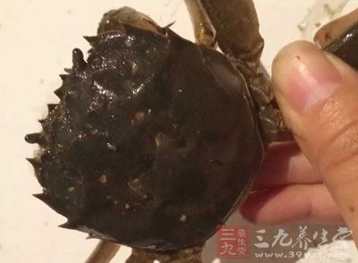 死的螃蟹體內有較多的組氨酸,它分解後成為組胺 死的螃蟹體內有較多的組氨酸,它分解後成為組胺