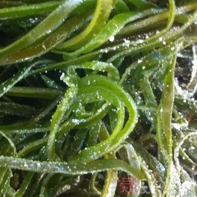 顏色太綠的海帶可能用硫酸銅或鹼性品綠溶液泡過