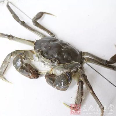 隨著醉蟹入口,肺吸蟲也堂而皇之地進入身體裡,游走全身 隨著醉蟹入口,肺吸蟲也堂而皇之地進入身體裡,游走全身