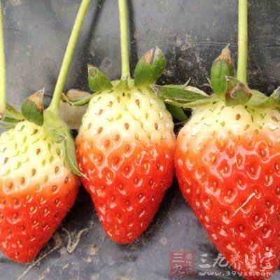 桑椹、草莓、大棗、黑棗、龍眼肉等