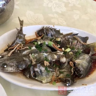 魚、肉和豆制品只有微生物繁殖的問題 魚、肉和豆制品只有微生物繁殖的問題