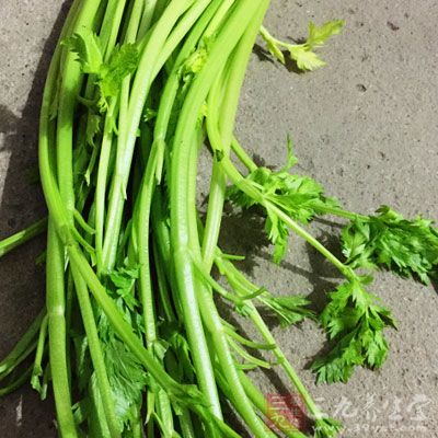 吃過芹菜葉的朋友就知道，芹菜葉別具芳香