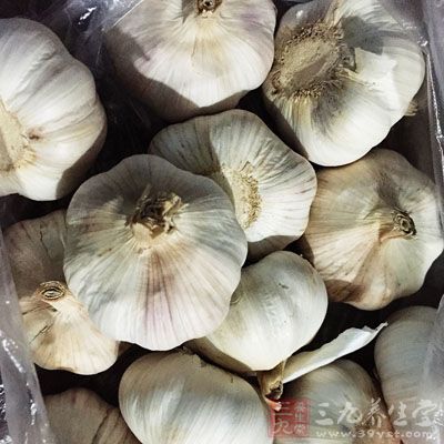 大蒜中有揮發油