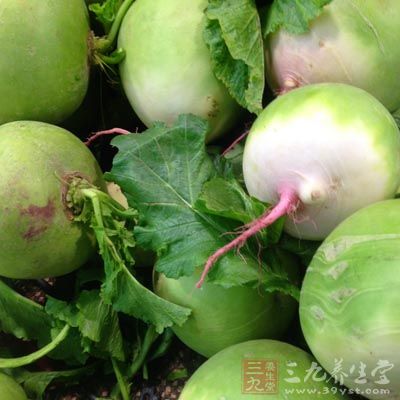 蘿卜屬於寒性的食物