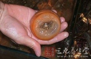 我們幾乎每天都要吃一些各種各樣的新鮮果蔬