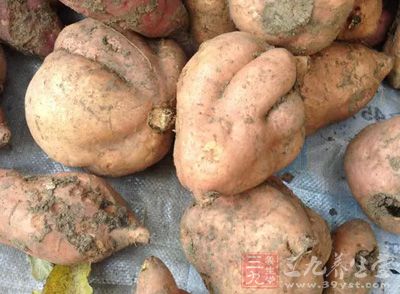 紅薯是典型的高鉀低鈉食物，其膳食纖維含量很高