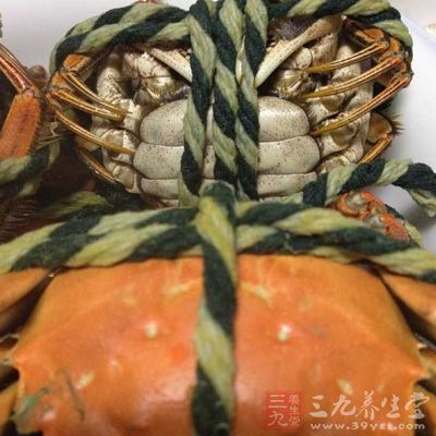 不要與含高蛋白的蟹 不要與含高蛋白的蟹