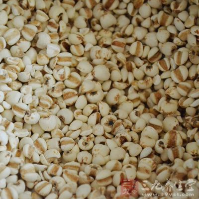 先將薏米和馬齒苋加水煮熟 先將薏米和馬齒苋加水煮熟