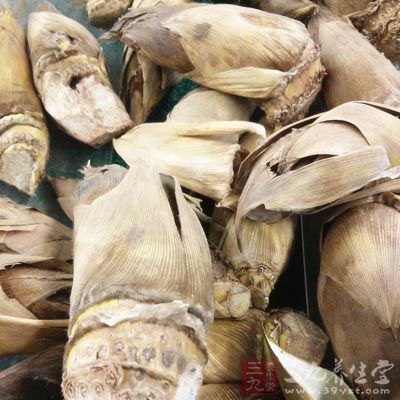 沒有烹饪熟的竹筍吃了會引起食物中毒