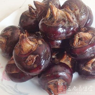 馬蹄的生長環境就決定了它會攜帶寄生蟲 馬蹄的生長環境就決定了它會攜帶寄生蟲