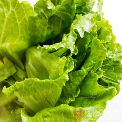 生菜和荸荠一樣還容易感染姜片蟲 生菜和荸荠一樣還容易感染姜片蟲