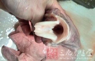 豬肺中含有大量的細菌和病毒