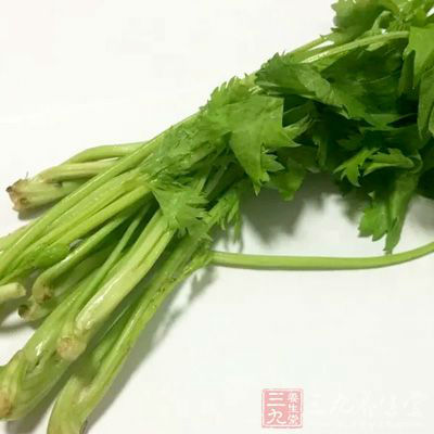 芹菜涼拌一定要挑選新鮮綠色的 芹菜涼拌一定要挑選新鮮綠色的