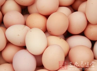 雞蛋是高蛋白食品