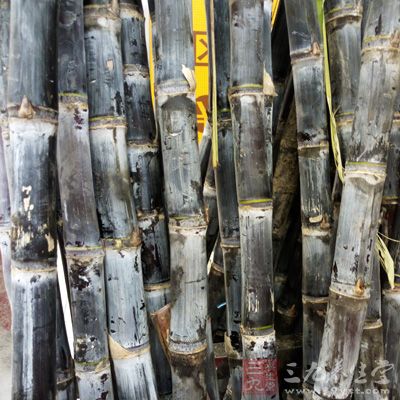 一看甘蔗的外部有沒有發生霉變和蟲眼