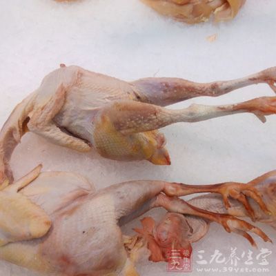 買雞的時候可以通過外觀巧妙辨別 買雞的時候可以通過外觀巧妙辨別