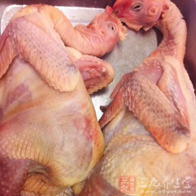 其實偶爾的吃點雞脖子對於健康並沒有很大的危害 其實偶爾的吃點雞脖子對於健康並沒有很大的危害
