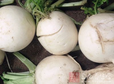 蘿卜是大家最為熟悉的一種蔬菜 蘿卜是大家最為熟悉的一種蔬菜