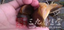 3種食物爆炒等於吃寄生蟲