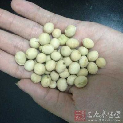 豆類食物會帶來不消化的難題 豆類食物會帶來不消化的難題