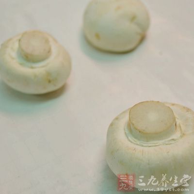 選擇優質的口蘑,我們第一步要觀察它的色澤口蘑本身是白色略帶點灰色的 選擇優質的口蘑,我們第一步要觀察它的色澤口蘑本身是白色略帶點灰色的