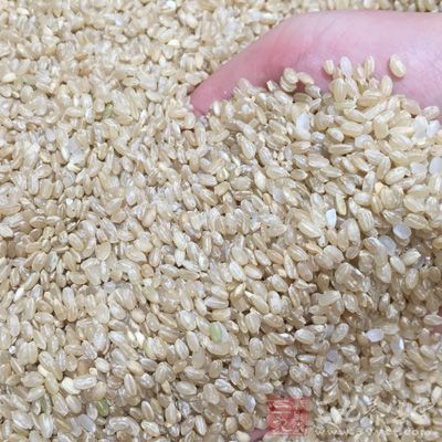 富含維生素B的食物有牛奶、動物內髒、全谷物