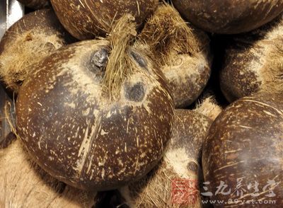 椰子中富含有大量的維生素