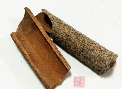 肉桂的介紹