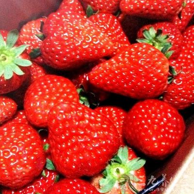 木瓜、草莓、橘子、柑子、猕猴桃、芒果、杏、柿子和西瓜 木瓜、草莓、橘子、柑子、猕猴桃、芒果、杏、柿子和西瓜
