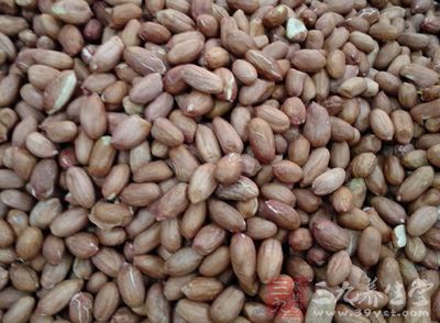 乾玉米(多用為飼料)、花生、核果三類是最常長黃麴菌的產品