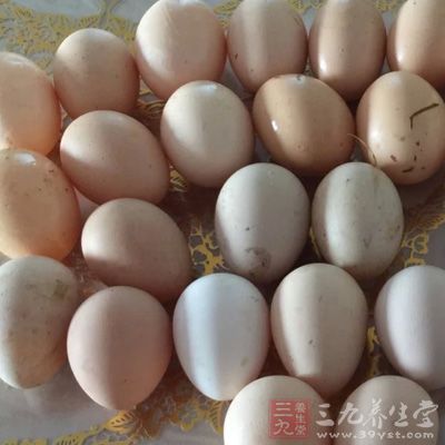 各種細菌都能通過蛋殼上的小孔進入到雞蛋內部 各種細菌都能通過蛋殼上的小孔進入到雞蛋內部