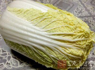 大白菜營養價值不可輕視