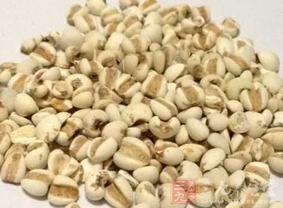 薏米會刺激子宮平滑肌導致子宮收縮而流產