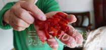 柿子是產自中國的一種食物