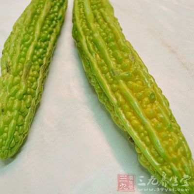苦瓜屬於葫蘆科的植物