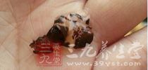 木耳也是大家生活中經常吃的蔬菜之一