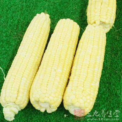 玉米延緩衰老速度 玉米延緩衰老速度
