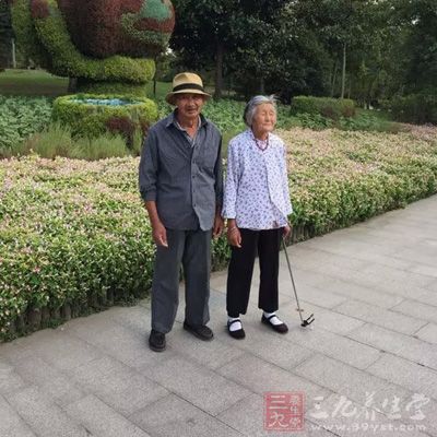 老年人膽固醇升高是引發心腦血管意外的禍端 老年人膽固醇升高是引發心腦血管意外的禍端