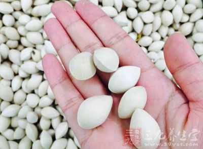白果營養非常豐富