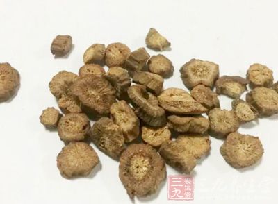 牛蒡根含有人體必需的各種氨基酸，且含量較高