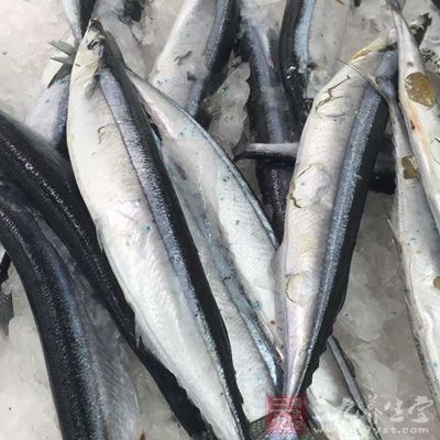 生吃魚有風險
