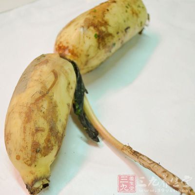 蓮藕是秋季盛產的蔬菜 蓮藕是秋季盛產的蔬菜